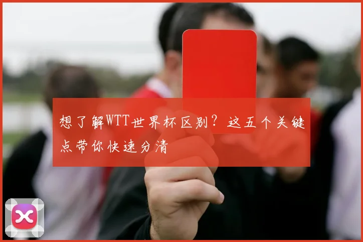 想了解WTT世界杯区别？这五个关键点带你快速分清