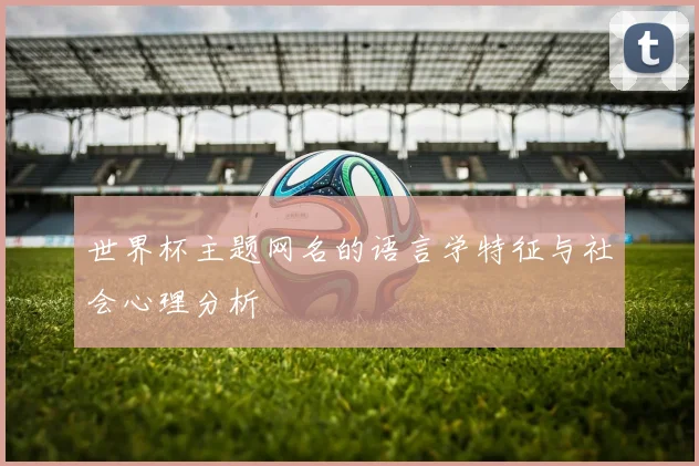 世界杯主题网名的语言学特征与社会心理分析