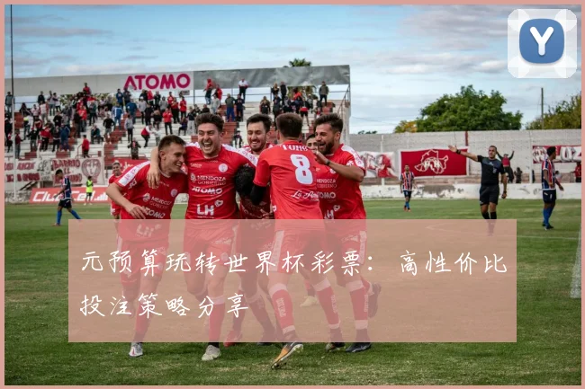 元预算玩转世界杯彩票：高性价比投注策略分享