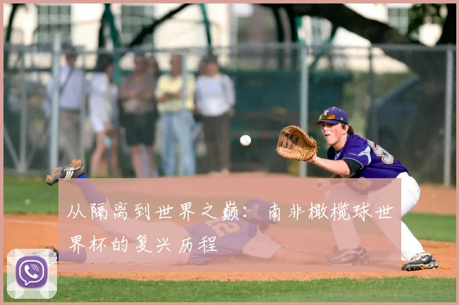 从隔离到世界之巅：南非橄榄球世界杯的复兴历程