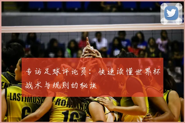 专访足球评论员：快速读懂世界杯战术与规则的秘诀