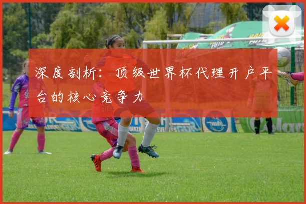 深度剖析:顶级世界杯代理开户平台的核心竞争力