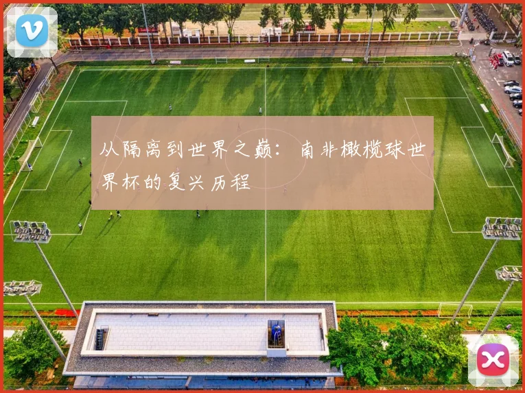 从隔离到世界之巅：南非橄榄球世界杯的复兴历程
