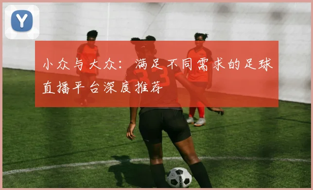 小众与大众：满足不同需求的足球直播平台深度推荐