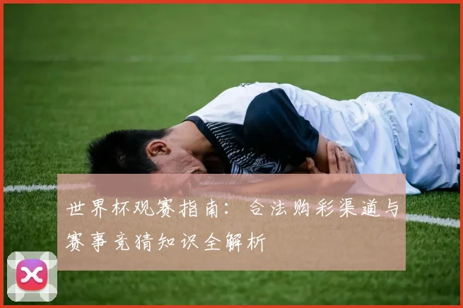 世界杯观赛指南：合法购彩渠道与赛事竞猜知识全解析